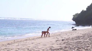 Genç kadın kabukları sahilde bulma. Okyanus. Bali, Endonezya.