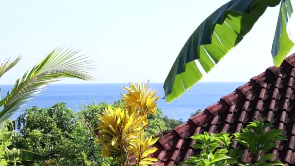 Lagune tropicale avec eau claire et bâtiments en forêt sur une colline. Village d'Amed, Indonésie. Vue exotique. De nombreux arbres, plantes, palmiers asiatiques . — Video