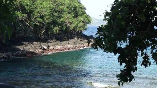 Удивительный тропический остров, голубая лагуна. Много тропических пальм и растений, прекрасный вид, нет людей, одинокий пляж. Тайное место. Бали, Индонезия . — стоковое видео