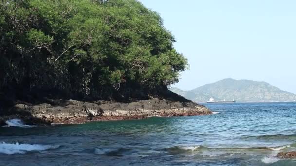 Amazing tropical island, blue lagoon. Many tropical palms and plants, beautiful view, no people, lonely beach. Secret place. Bali, Indonesia. — Αρχείο Βίντεο