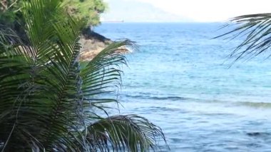 Muhteşem tropik ada, mavi lagün. Birçok tropik avuç içi ve bitkiler, güzel, hiçbir insan yalnız beach göster. Gizli yer. Bali, Endonezya.