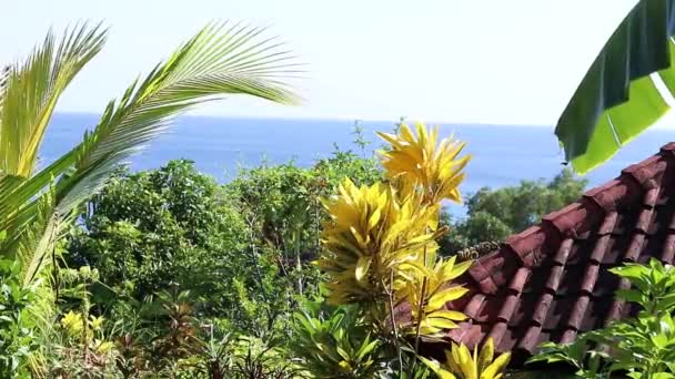 Lagună tropicală cu apă limpede și clădiri în pădure pe un deal. Amed sat, Indonezia. Scaune de pasăre pe copac. Mulți copaci asiatici, plante, palmieri . — Videoclip de stoc