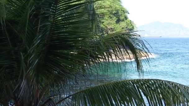 Amazing tropical island, blue lagoon. Many tropical palms and plants, beautiful view, no people, lonely beach. Secret place. Bali, Indonesia. — Αρχείο Βίντεο