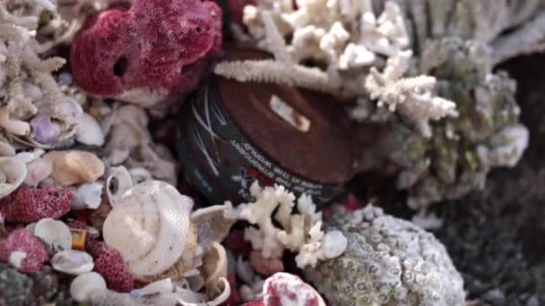 Beautiful corals near the beach of Lembongan tropical island, Indonesia. — Stock Video