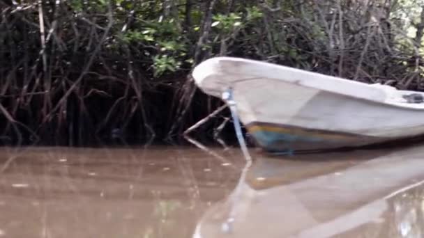 Sailing on a motor boat through the mangrove forest on tropical island Lembongan, Indonesia. Dark scene. — Stock Video