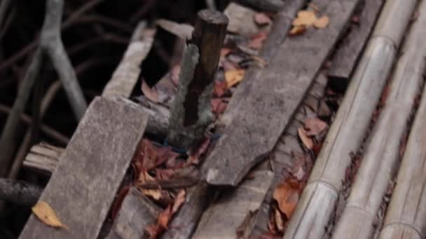 Mangrove erdők a trópusi sziget Lembongan, Indonézia. Régi fahíd. Lassú mozgás. — Stock videók