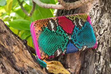 Lüks yılan deri cüzdan ahşap arka plan üzerinde. Pahalı yılan derisi python multy renk çanta.