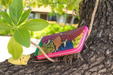 Lüks yılan deri cüzdan ahşap arka plan üzerinde. Pahalı yılan derisi python multy renk çanta.