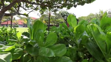 Güneşli bir gün, Bali, Endonezya kumsalda üzerinde Balili Tapınağı.