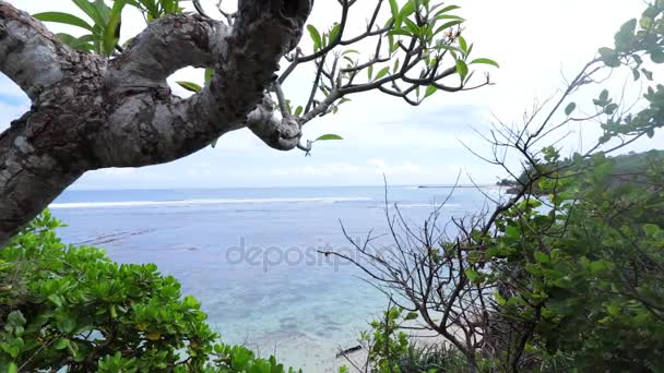 Oceán z útesů. Mnoho krásných asijských rostlin a stromů. Slunečný den, úžasné mraky. Klidné místo. Bali, Indonésie. — Stock video