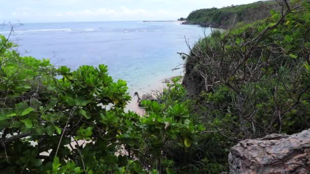 Havet från klipporna. Många vackra asiatiska växter och träd. Solig dag, fantastisk moln. Lugn plats. Bali, Indonesien. — Stockvideo