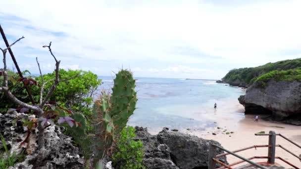 Tropická lonely beach. Přímořská krajina. Pohled z vrcholu na velké skály. Ostrov Bali, Indonésie. Tropické rostliny a kaktusy. — Stock video