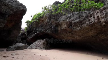 Deniz manzarası plaj sahnesi, Bali, Endonezya. Asya ağaçlar ve bitkiler.