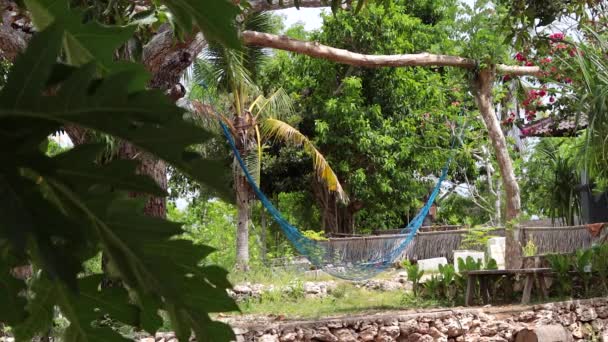 Blaue einsame Hängematte unter den Handflächen. Kein Volk. tropische Insel Ceningan, Indonesien. — Stockvideo