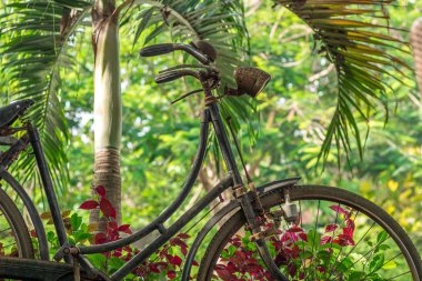 Tropikal Bali Adası, Endonezya'nın ormanda eski vintage Bisiklet.