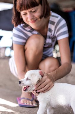 Çok küçük bir beyaz Bali köpek yavrusu kum üzerinde dışında tropik ada Nusa Lembongan, Endonezya. Asya.