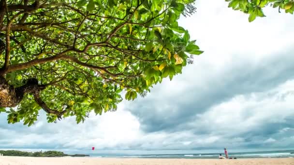 美しい砂浜は、驚くほどの空と大きな緑の木。タイムラプス。熱帯のバリ島、インドネシア. — ストック動画