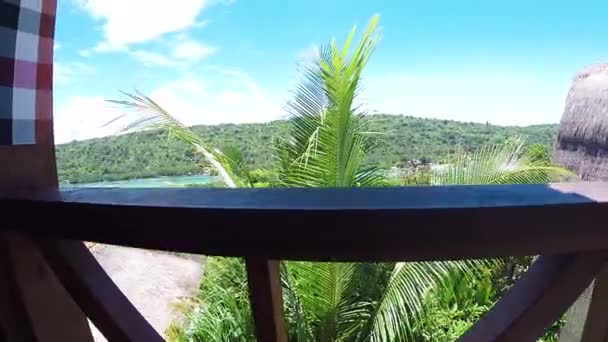 Palmbomen over tropische lagune op Nusa Lembongan island, Bali, Indonesië. Azië. Groene spa scène. Slow-motion. Panorama. — Stockvideo