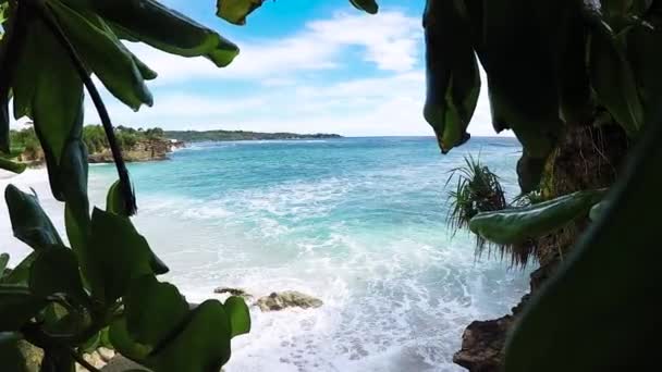 Weinig palmbomen over tropische lagune met wit strand. Paradijs eiland Nusa Lembongan, Bali, Indonesië. Blauwe water en verbazingwekkende hemel. Rustige plek, geen mensen. Slow motion. — Stockvideo