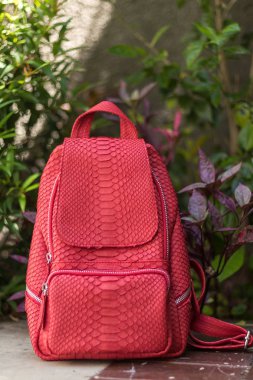 Yüzme Havuz kenarında şık kırmızı deri snkeskin python sırt çantası. Bali Adası.
