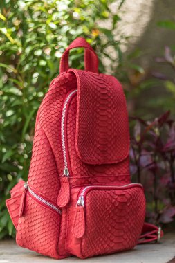 Yüzme Havuz kenarında şık kırmızı deri snkeskin python sırt çantası. Bali Adası.