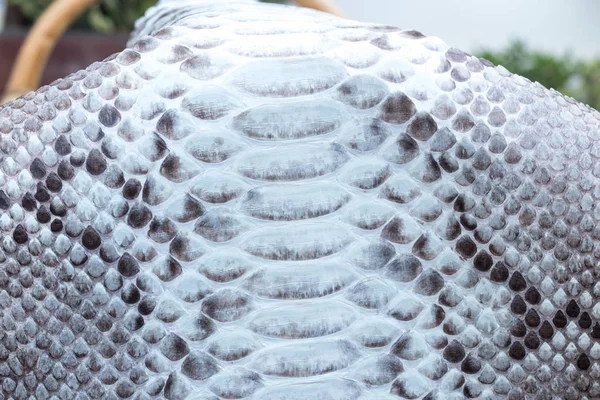 Piel de serpiente de pitón genuina, piel de serpiente, fondo de textura . —  Fotos de Stock