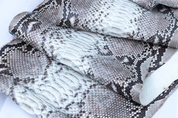 Genuine python snakeskin leather, snake skin, texture background. — Stock Photo, Image