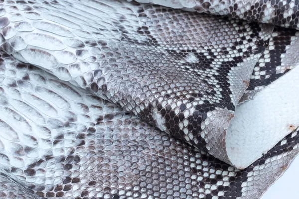 Genuine python snakeskin leather, snake skin, texture background. — Stock Photo, Image