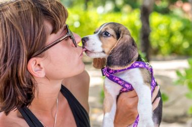 Onu evde beslenen hayvan köpek Beagle tropikal plaj ile genç çekici kız ada Bali, Endonezya. Mutlu anlar. Bayan öpüşme köpek.