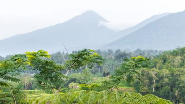 4 k upływ czasu od tropikalnej roślinności na wyspie Bali, Indonezja. Widok na góry. — Wideo stockowe