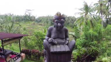 Bali, Endonezya - 25 Mart: Tegallalang pirinç Teras tropikal bir adada Bali, Endonezya, ağır çekim. Ubud pirinç terasları Şubat 2017 yılında.