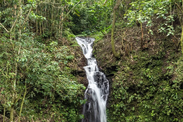美丽的瀑布在绿色的森林在热带巴厘岛, 印度尼西亚的丛林。巴厘岛以北。雨林场景. — 图库照片
