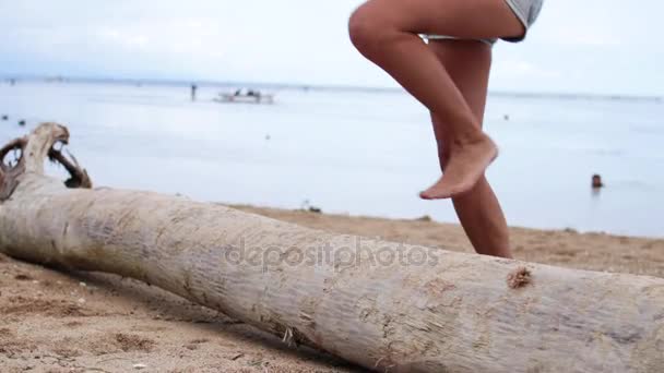 女性と熱帯のビーチで遊ぶかわいいビーグル犬島バリ島、サヌール, インドネシア. — ストック動画