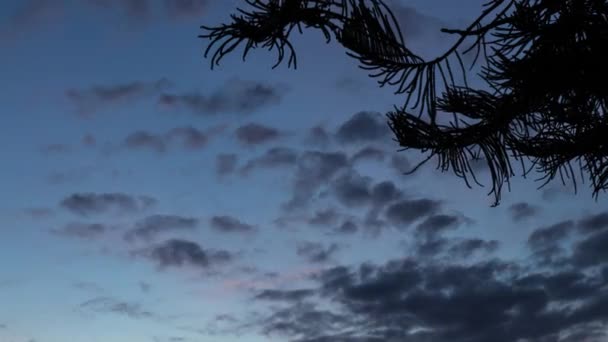 4 k tid förfaller av vackra solnedgången på tropisk ö-Bali, Indonesien. — Stockvideo