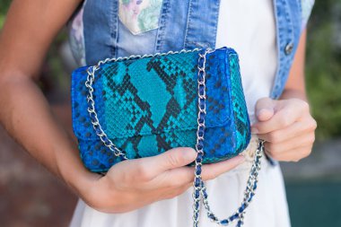 Yılan derisi python lüks çanta ile kadın el Yüzme Havuzu yakınındaki.