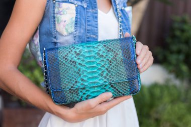 Yılan derisi python lüks çanta ile kadın el Yüzme Havuzu yakınındaki.