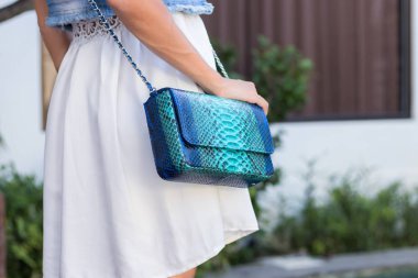 Yılan derisi python lüks çanta ile kadın el Yüzme Havuzu yakınındaki.