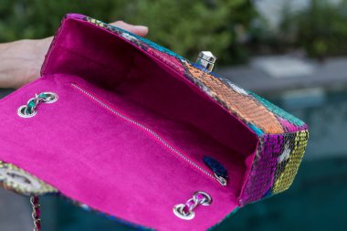 Yılan derisi python lüks çanta ile kadın el Yüzme Havuzu yakınındaki.