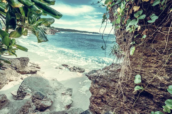 Playa de verano con nubes, cielo azul y palmera. Hermoso paraíso tropical para vacaciones y relajarse copia de fondo del espacio. Bali, Indonesia . — Foto de Stock