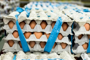 Bir sürü yumurta panelinde görüntülemek yerel taze gıda pazarında, tropikal Bali Adası, Endonezya Satılık.