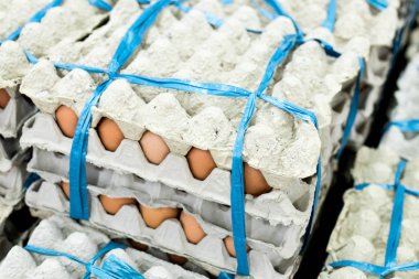 Bir sürü yumurta panelinde görüntülemek yerel taze gıda pazarında, tropikal Bali Adası, Endonezya Satılık.