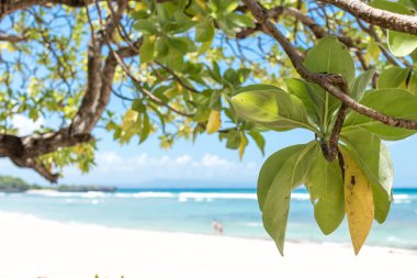 El değmemiş cennet tropikal plaj Nusa Dua üzerinde Bali Adası, Endonezya.