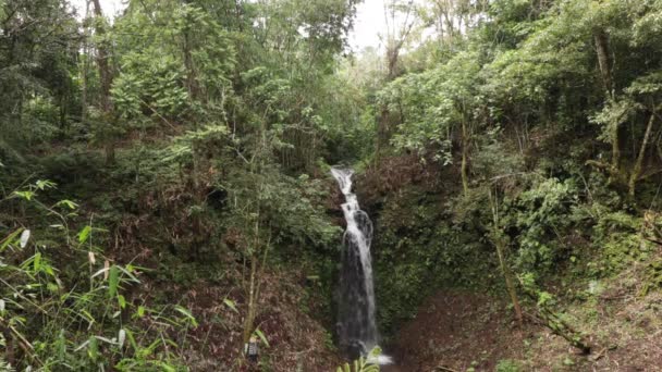 Тропічний водоспад тече через щільний тропічного лісу на острові Балі, Індонезія. Оригінал, без редагування. — стокове відео