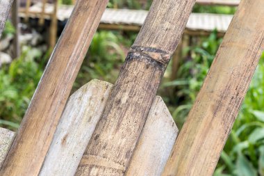 Kuru dallar, doğal ahşap arka plan, desen.