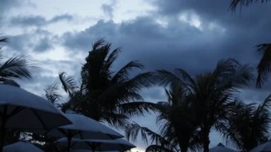 Palmiye ağaçları siluet gün batımında. Karanlık sahne. Gece sihirli tropik adada Bali, Endonezya. Düzenlenmemiş görüntüleri.