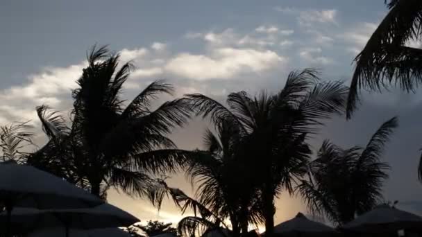 Pálma fák sziluett naplementekor. Sötét táj. Éjszakai varázslat trópusi szigeten Bali, Indonézia. Vágatlan felvétel. — Stock videók