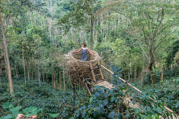 Young woman in artificial nest in rainforest of tropical Bali island, Indonesia.