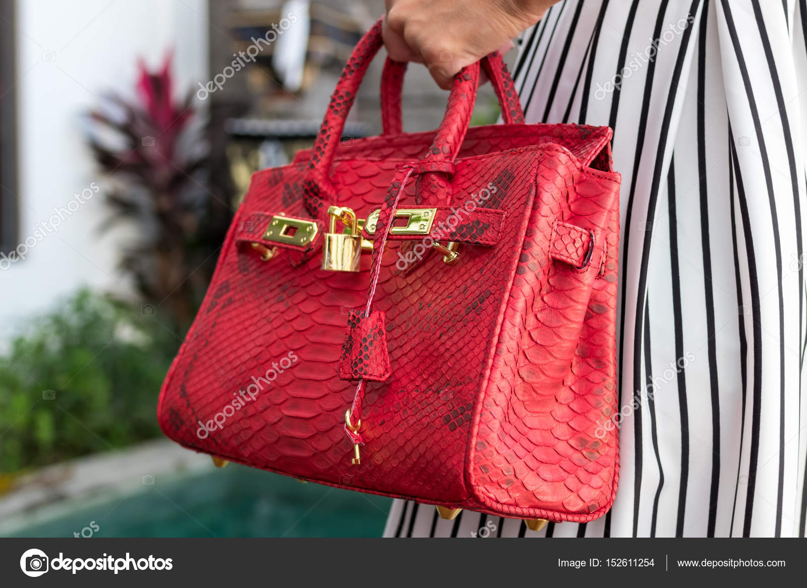 Fashionable woman holding luxury snakeskin python bag. Elegant outfit.  Close up of purse in hands of stylish lady. Model posing near the swimming  pool. Bali island. Stock Photo by ©belart84 152611254