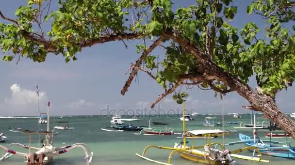 Fischerboote auf einer paradiesischen tropischen Insel bali. Strand von Sanur, Indonesien. — Stockvideo