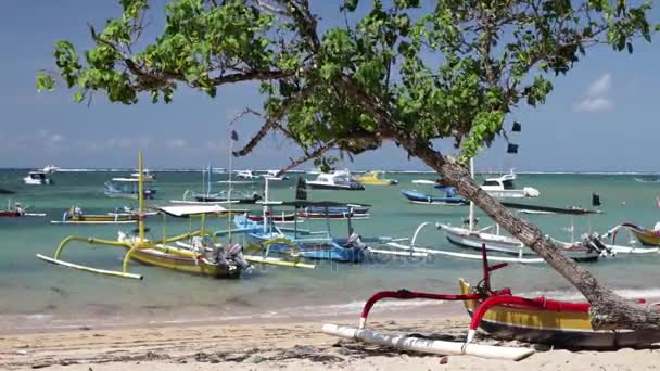 Perahu nelayan di pulau tropis Bali. Pantai Sanur, Indonesia . — Stok Video